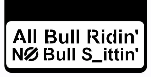 All Bull Riding Weight 