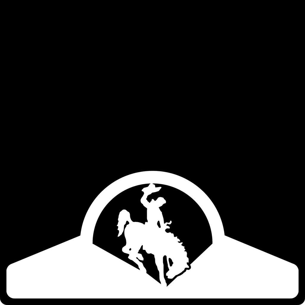 Bronco Weight Custom B