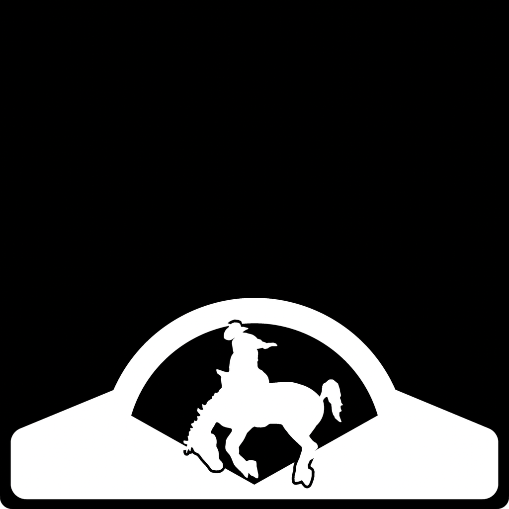 Bucking Horse Weight