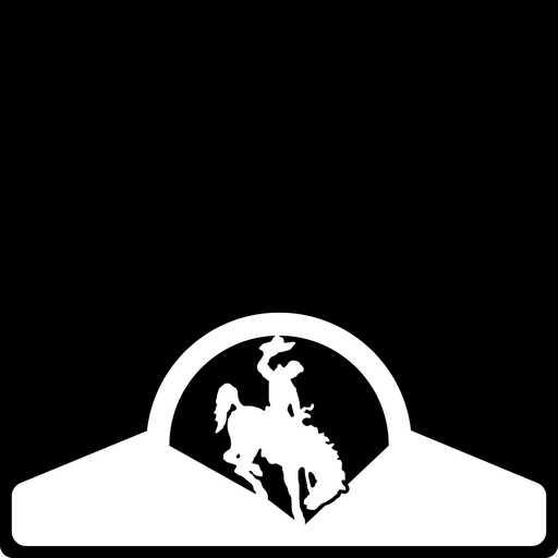 [004815] Bronco Weight Custom B