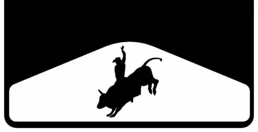 [003322] Bull Rider Weight