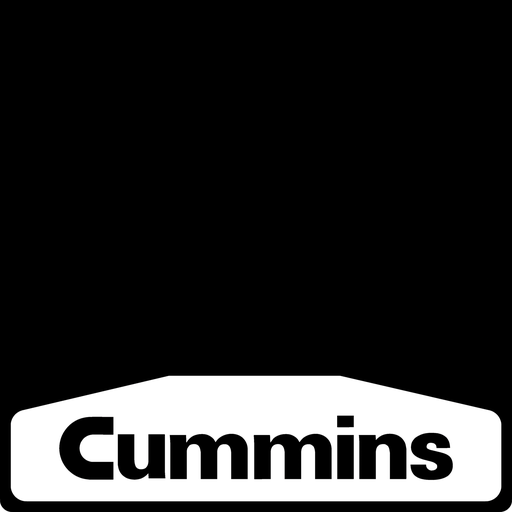 [004150] Cummins Weight 