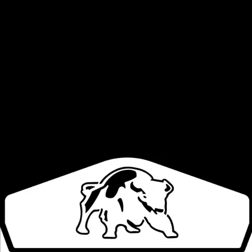 [007976] Don't use yet PKG Bison Weight BL